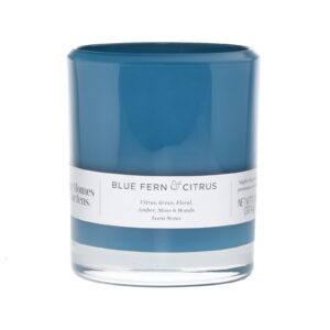 Better Homes & Gardens Blue Fern & Citrus 12oz Scented 2-wick Candle