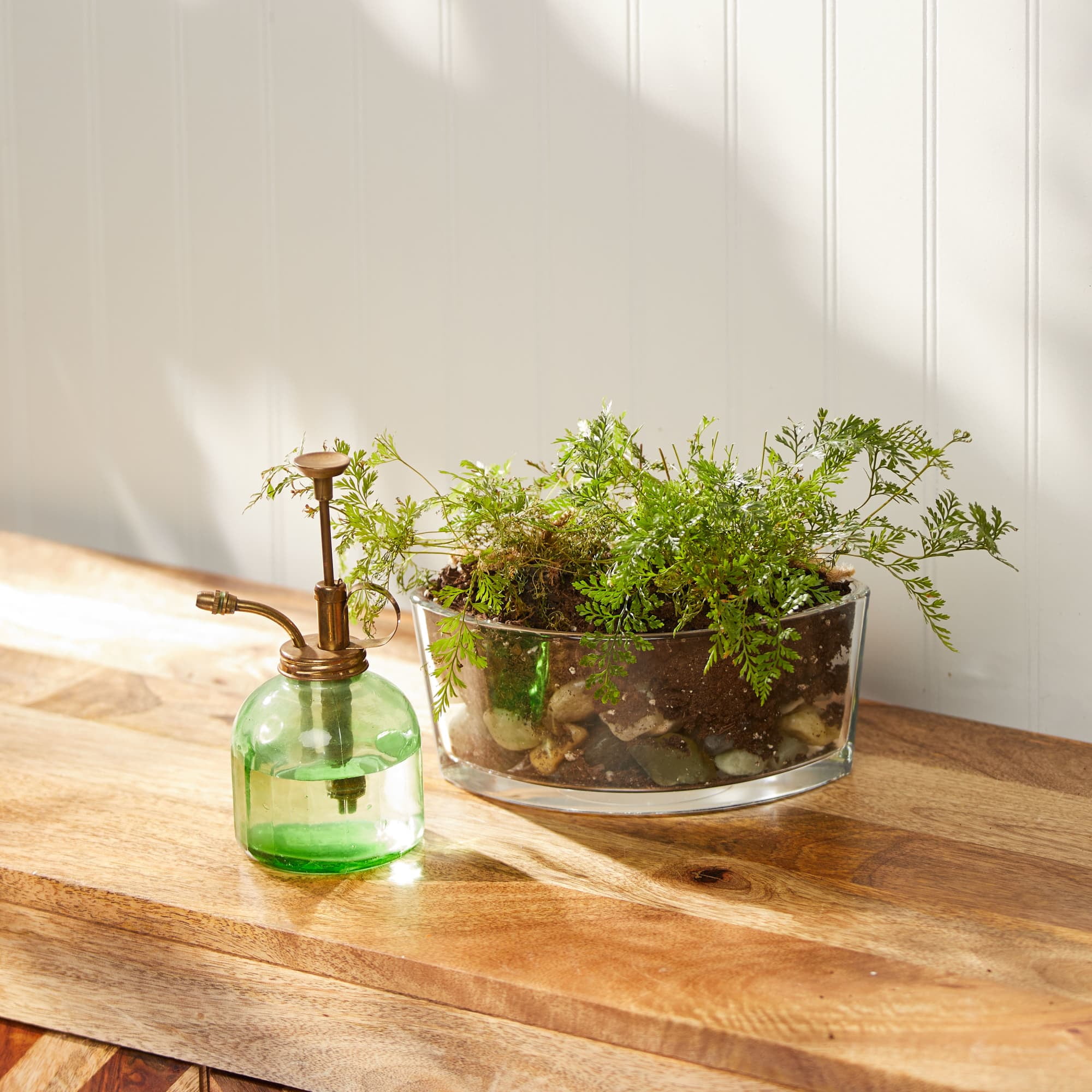 (2 pack) WoodWick Ellipse Scented Candle, White Teak, 16 oz - Image 5