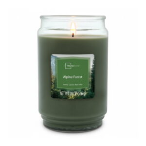 Mainstays Single-Wick Scented Glass Jar Candle, Alpine Forest, 20oz.