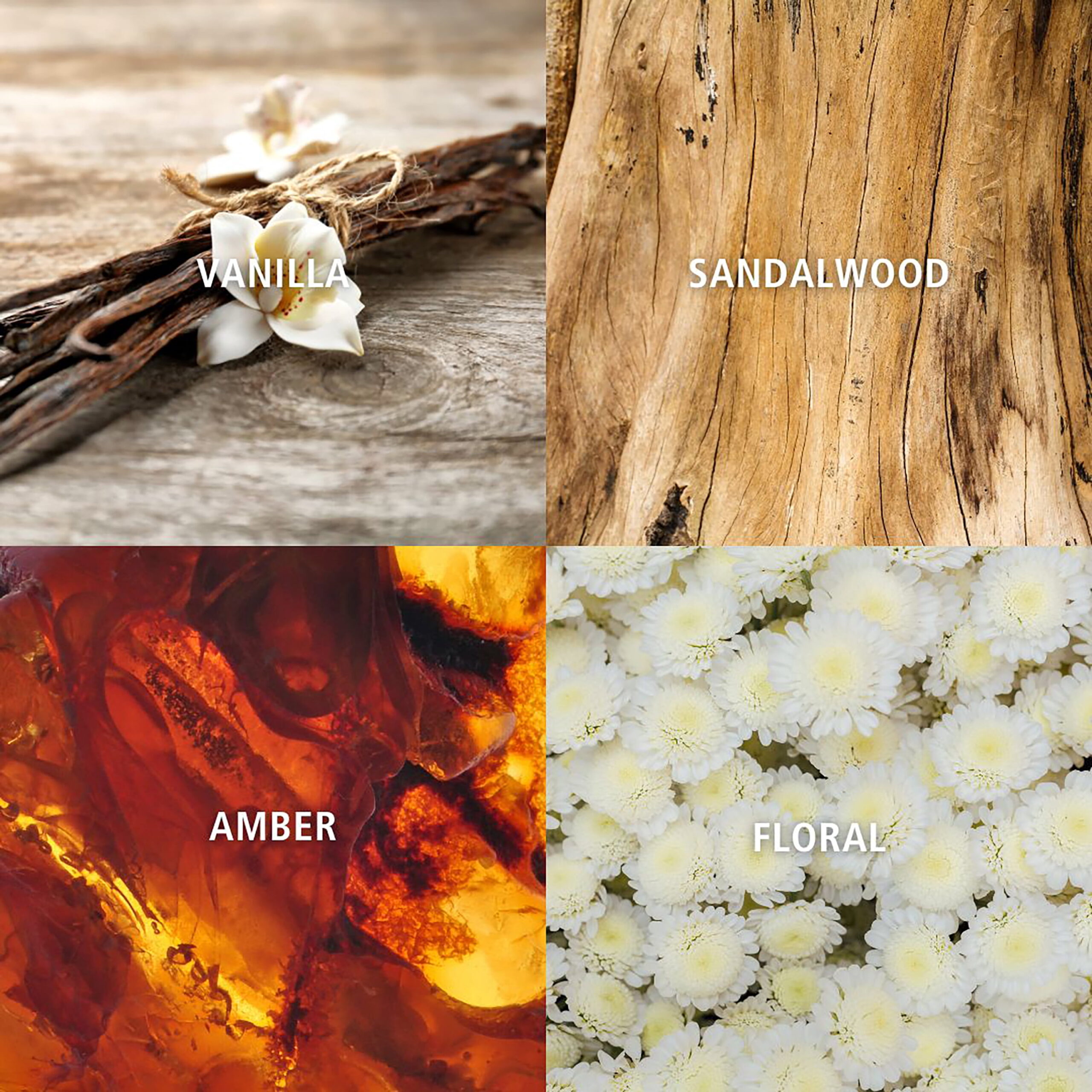 Home Decor Collection 3-Wick Moon Bowl Scented Jar Candle, Santal Fluer & Amber, 21.3 oz. - Image 8